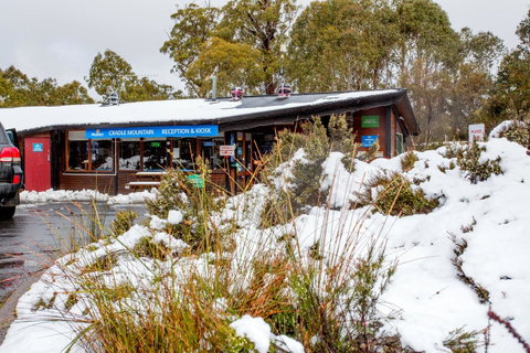 Discovery Parks - Cradle Mountain - Accommodation Main Beach 29