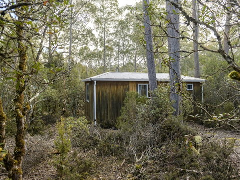 Discovery Parks - Cradle Mountain - Accommodation Main Beach 18