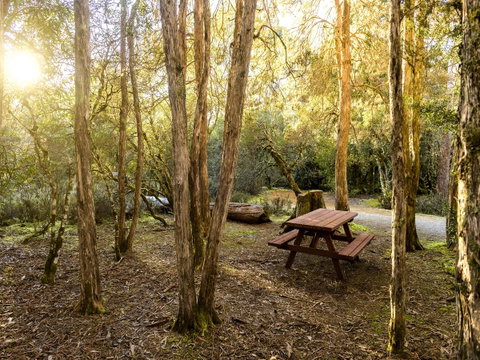 Discovery Parks - Cradle Mountain - Accommodation Main Beach 19