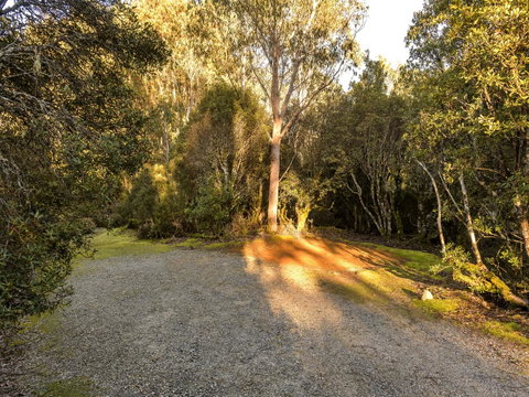Discovery Parks - Cradle Mountain - Accommodation Main Beach 2