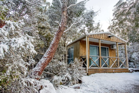 Discovery Parks - Cradle Mountain - Accommodation Main Beach 28