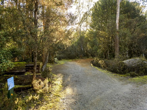 Discovery Parks - Cradle Mountain - Accommodation Main Beach 1