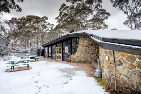 Discovery Parks - Cradle Mountain - Accommodation Main Beach 0
