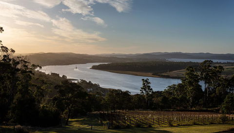 Domescapes In The Vines - Accommodation Main Beach 10