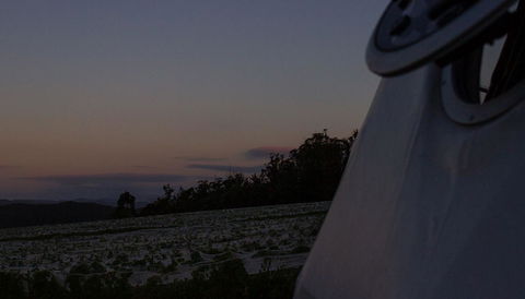 Domescapes In The Vines - Accommodation Main Beach 4