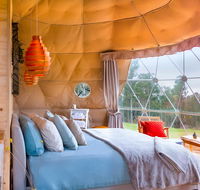 Domescapes in the Vines - Accommodation Main Beach