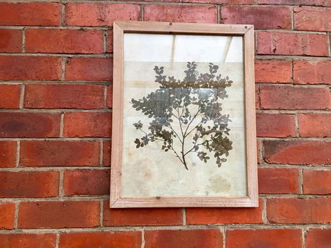 Cygnet Old Bank - Accommodation Main Beach 44