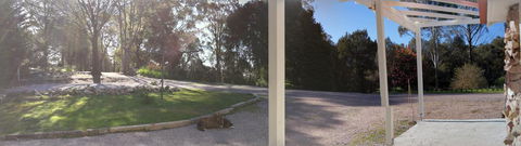 Hilltop Cottages - Accommodation Main Beach 1