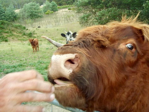 Eden Orchard & Farmstay - Accommodation Main Beach 25