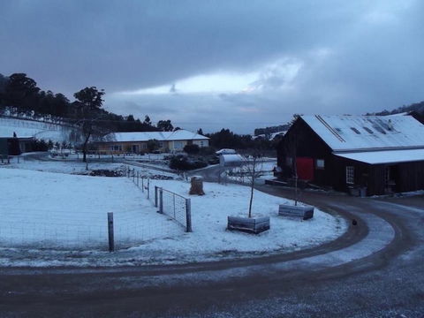 Eden Orchard & Farmstay - Accommodation Main Beach 23