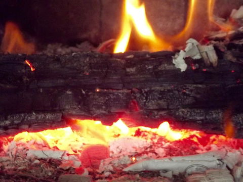 Eden Orchard & Farmstay - Accommodation Main Beach 3