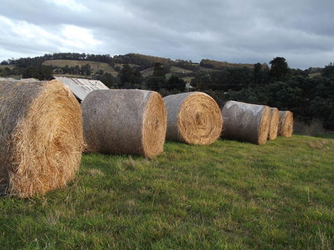 Eden Orchard & Farmstay - Accommodation Main Beach 35