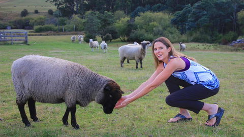 Ashdowns Of Dover - Accommodation Main Beach 26