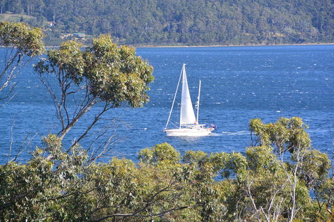 The Tree House - Accommodation Main Beach 5