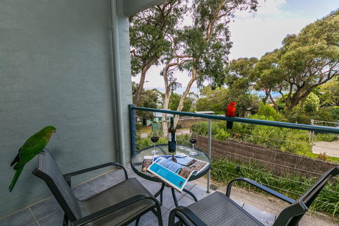 Lorne Surf Apartments - Accommodation Main Beach 21