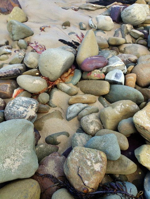 Lorne Surf Apartments - Accommodation Main Beach 15