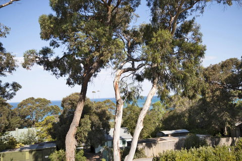 Lorne Surf Apartments - Accommodation Main Beach 6