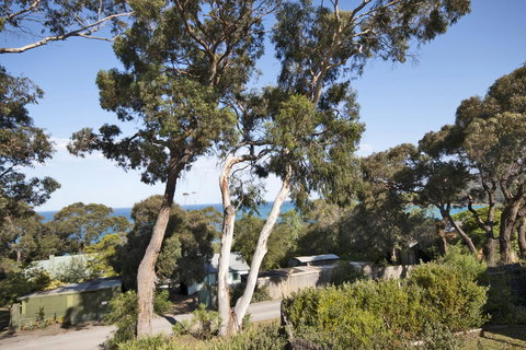 Lorne Surf Apartments - Accommodation Main Beach 11