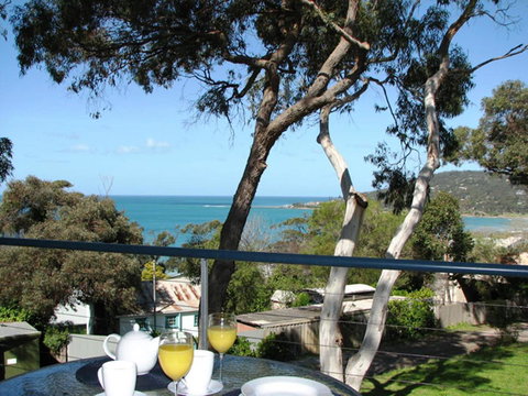 Lorne Surf Apartments - Accommodation Main Beach 3