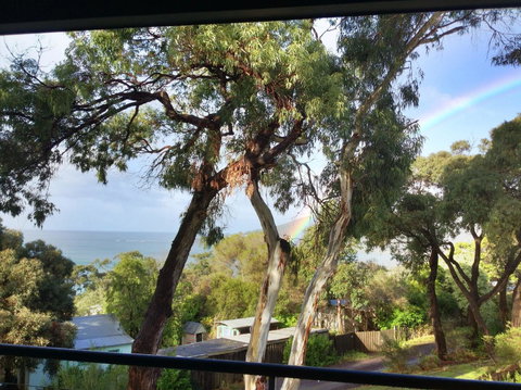 Lorne Surf Apartments - Accommodation Main Beach 4