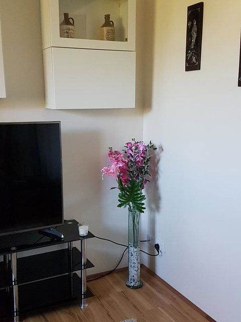 Romsey Homestay - Accommodation Main Beach 8