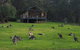Yering Gorge Cottages - thumb 6