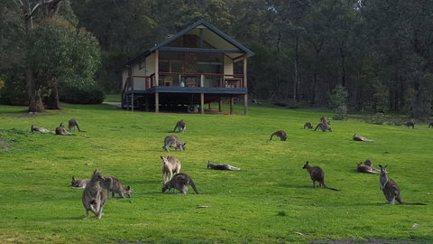 Yering Gorge Cottages - Accommodation Main Beach 6