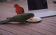 Wilsons Promontory Motel - thumb 12