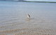Wilsons Promontory Motel - thumb 35