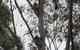 Wilsons Promontory Motel - thumb 28