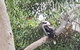 Wilsons Promontory Motel - thumb 26