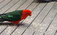 Wilsons Promontory Motel - thumb 27