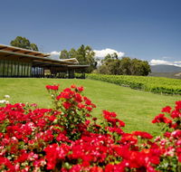 Balgownie Estate Vineyard Resort  Spa - Accommodation Main Beach