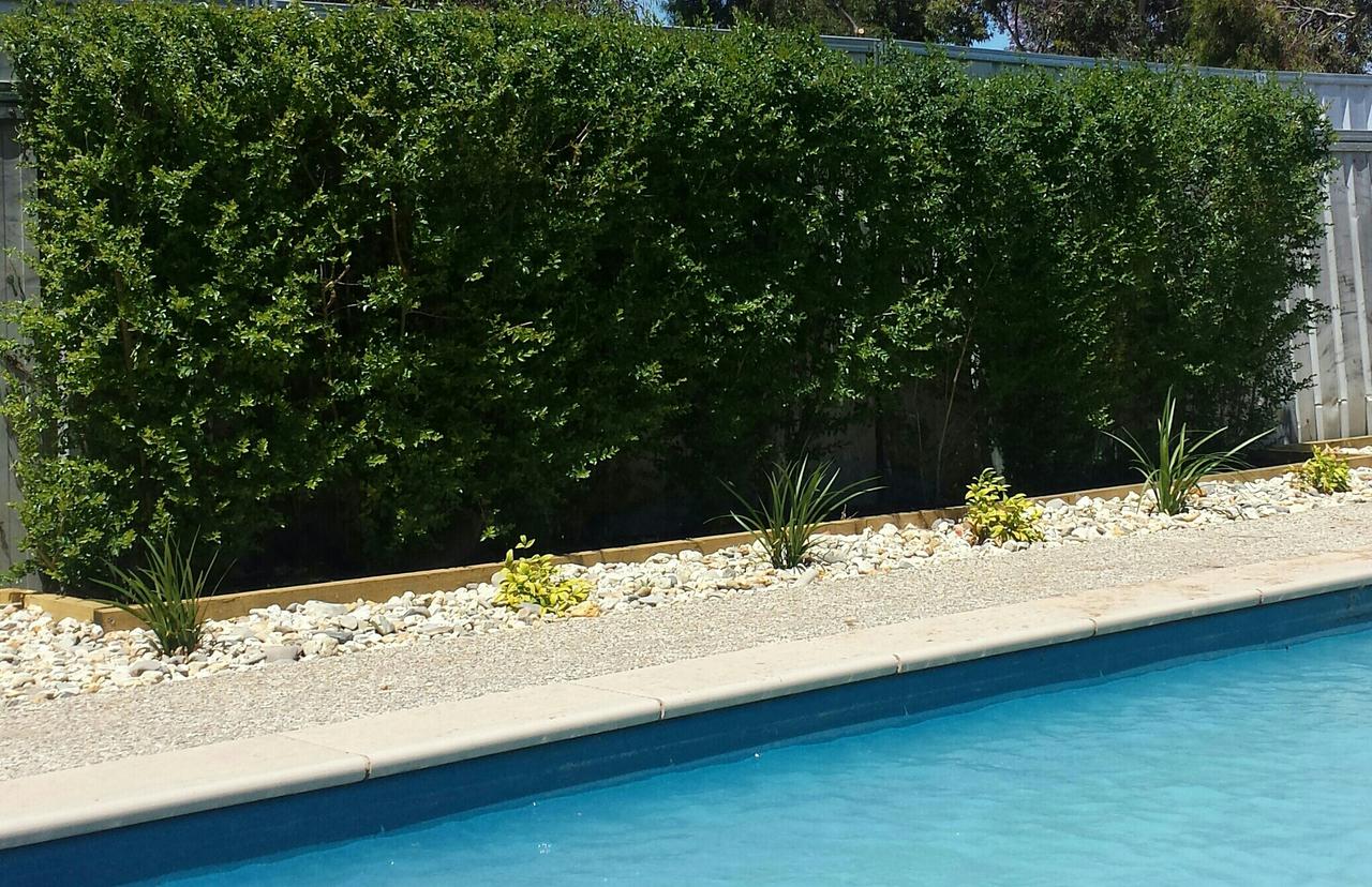 Liparoo VIC Accommodation Main Beach