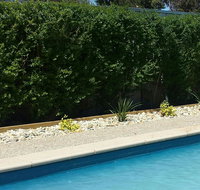 Robinvale Bridge Motel - Accommodation Main Beach