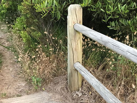 The International Motel Apollo Bay - Accommodation Main Beach 36