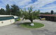 Twin City Motor Inn - thumb 6