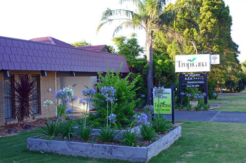 Tropicana Motor Inn - Accommodation Main Beach 10