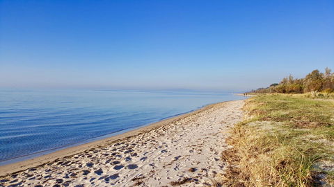 Avilla By The Bay - Accommodation Main Beach 6