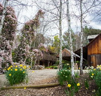 Lothlorien - Accommodation Main Beach