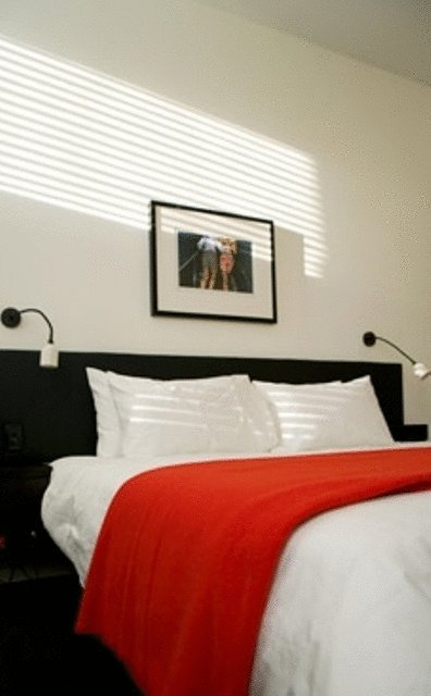 Middle Park Hotel - Accommodation Main Beach 26