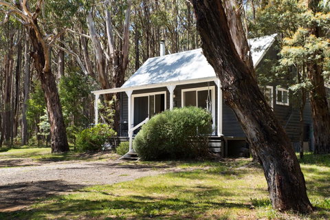 Bodhi Daylesford - Accommodation Main Beach 26
