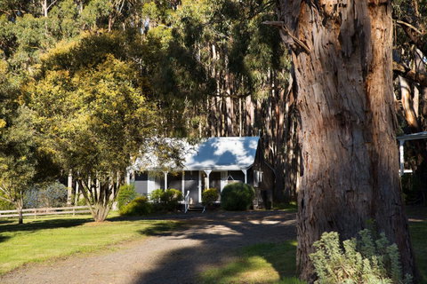 Bodhi Daylesford - Accommodation Main Beach 8