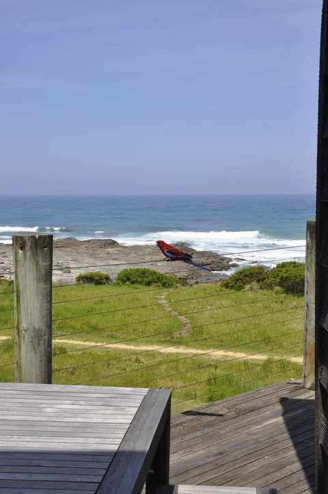 14 Steps - Accommodation Main Beach 14