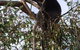 Beach Retreat Apartment Marengo - thumb 12