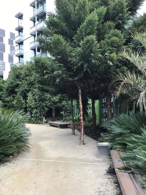 Docklands Private Collection - City Harbour Apartments - Accommodation Main Beach 35