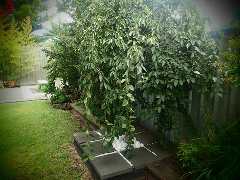 Azen Haven - Accommodation Main Beach 12