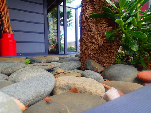 Azen Haven - Accommodation Main Beach 11