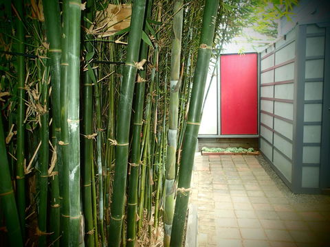 Azen Haven - Accommodation Main Beach 13