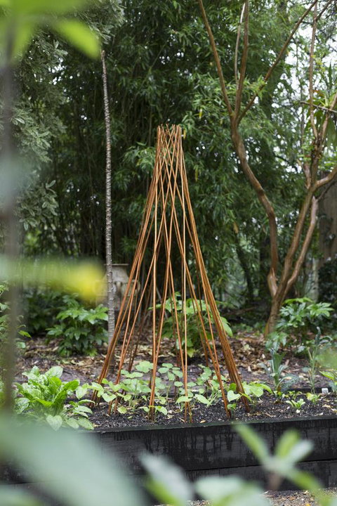 Botanica Editions - Accommodation Main Beach 23